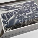 Offset edition in black and white "Genesis" after Sebastião Salgado, framed under glass, 30 x 38 cm