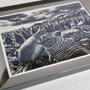 Offset edition in black and white "Genesis" after Sebastião Salgado, framed under glass, 30 x 38 cm
