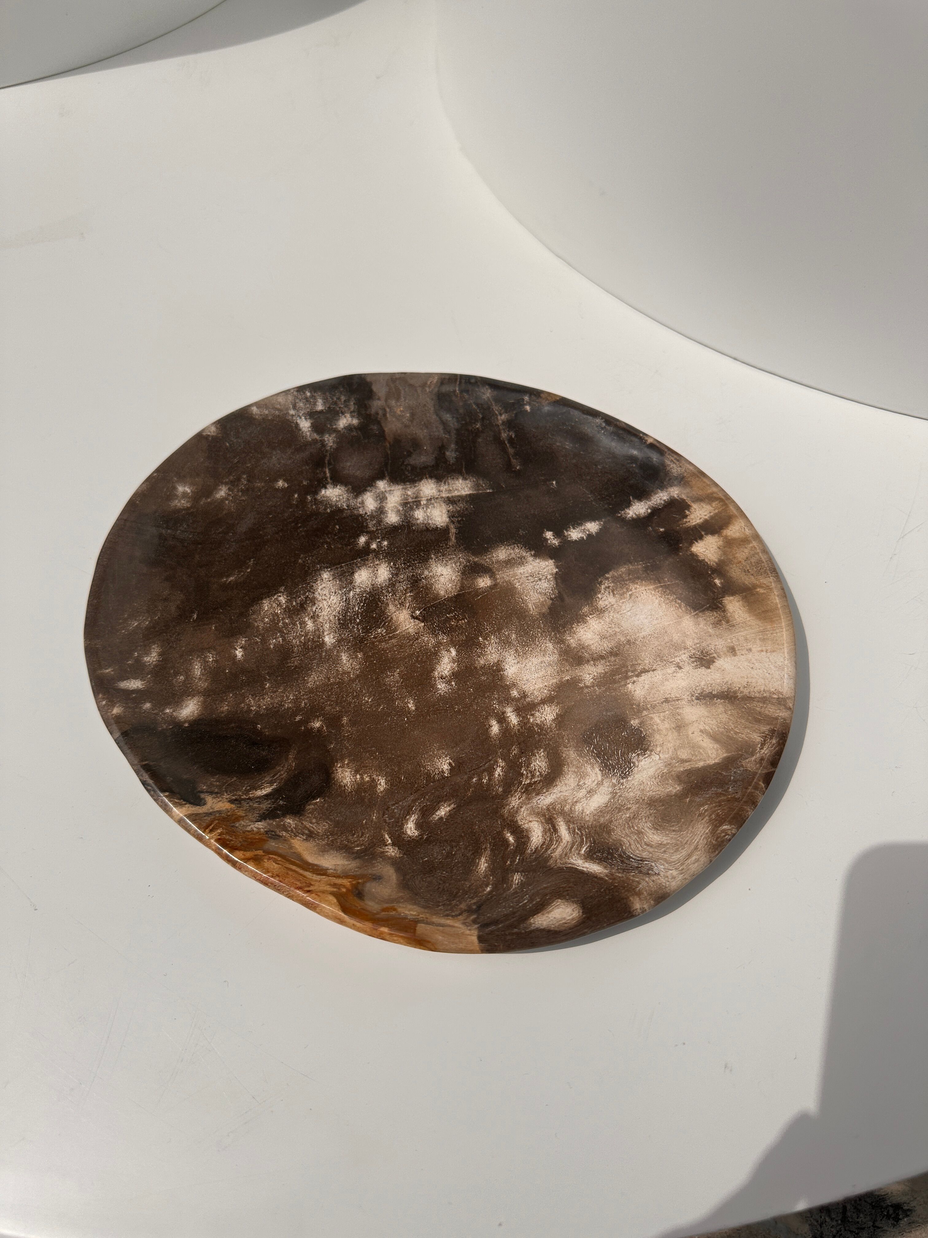 Dish in petrified wood