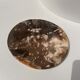 Dish in petrified wood