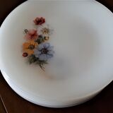 Set of arcopal dessert plates