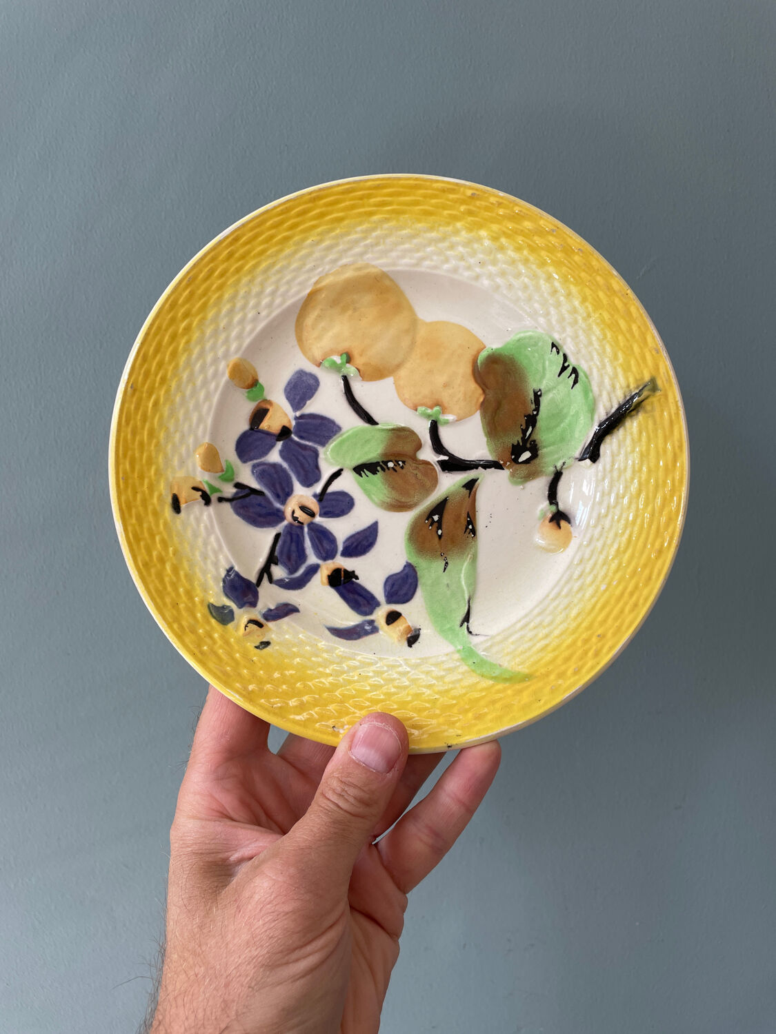 6 plates earthenware slips Moulin des Loups