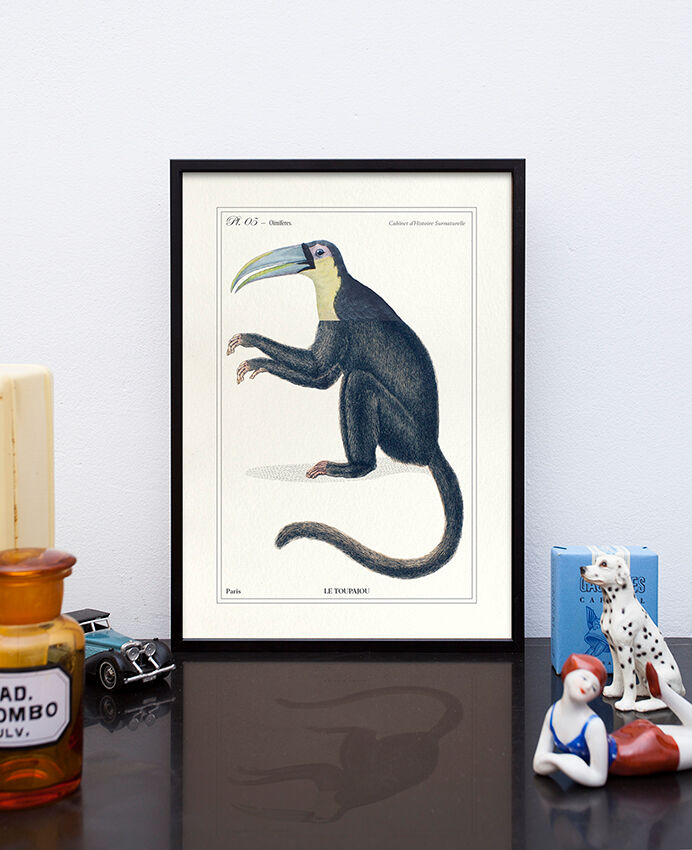 Chimera lithography animal engraving - the toupajou