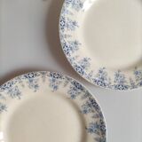 Ensemble de 2 assiettes terre de fer