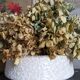 Vetter West Germany tripode cactus pot