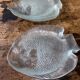 8 fish plates Arcoroc