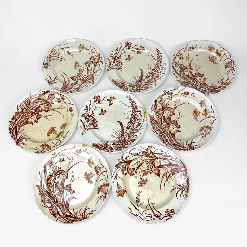 8 assiettes à dessert Terre de fer sépia modèle Flore Jules Vieillard Bordeaux XIX