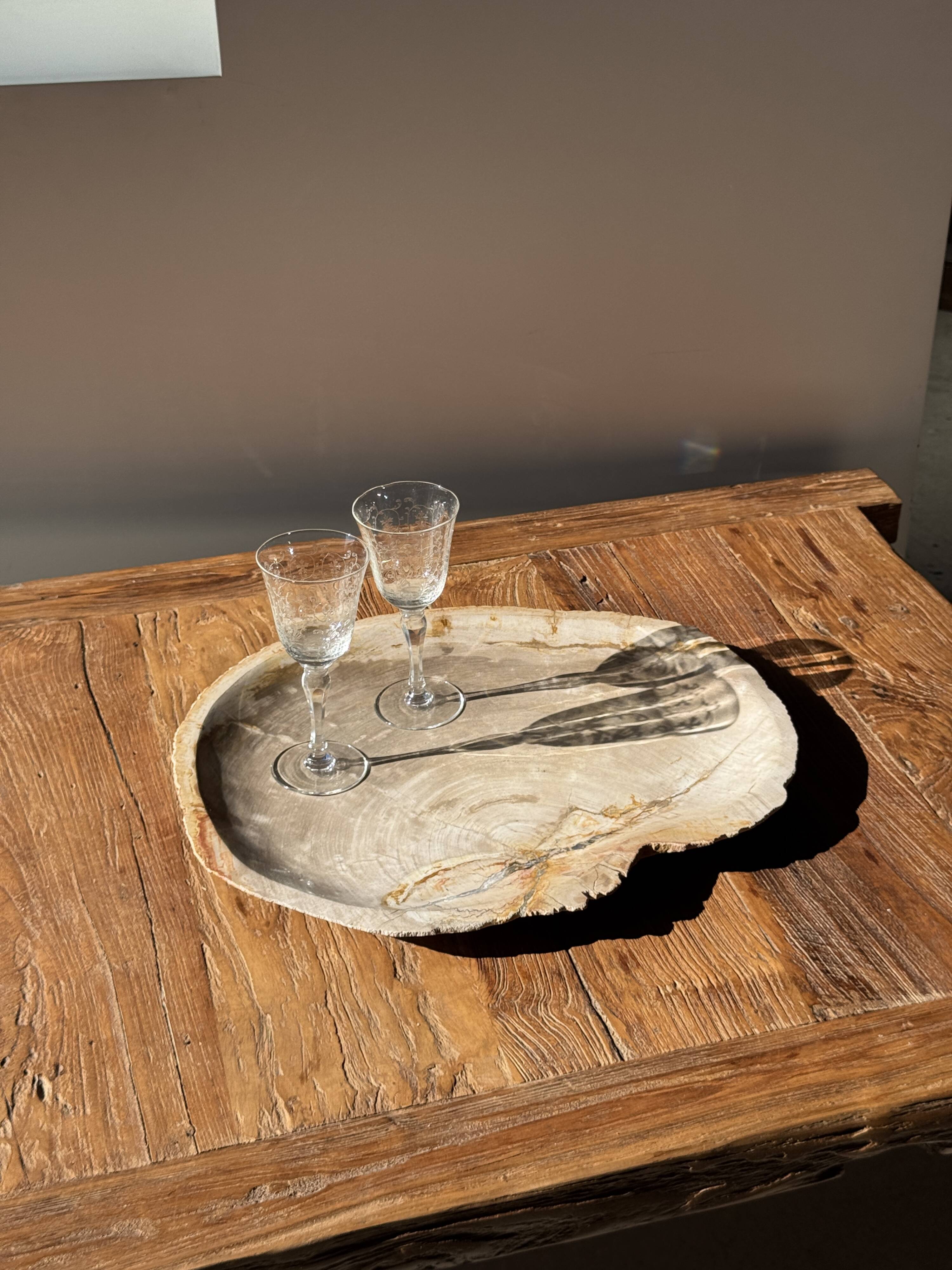 Very large pocket tray or dish in beige petrified wood D35