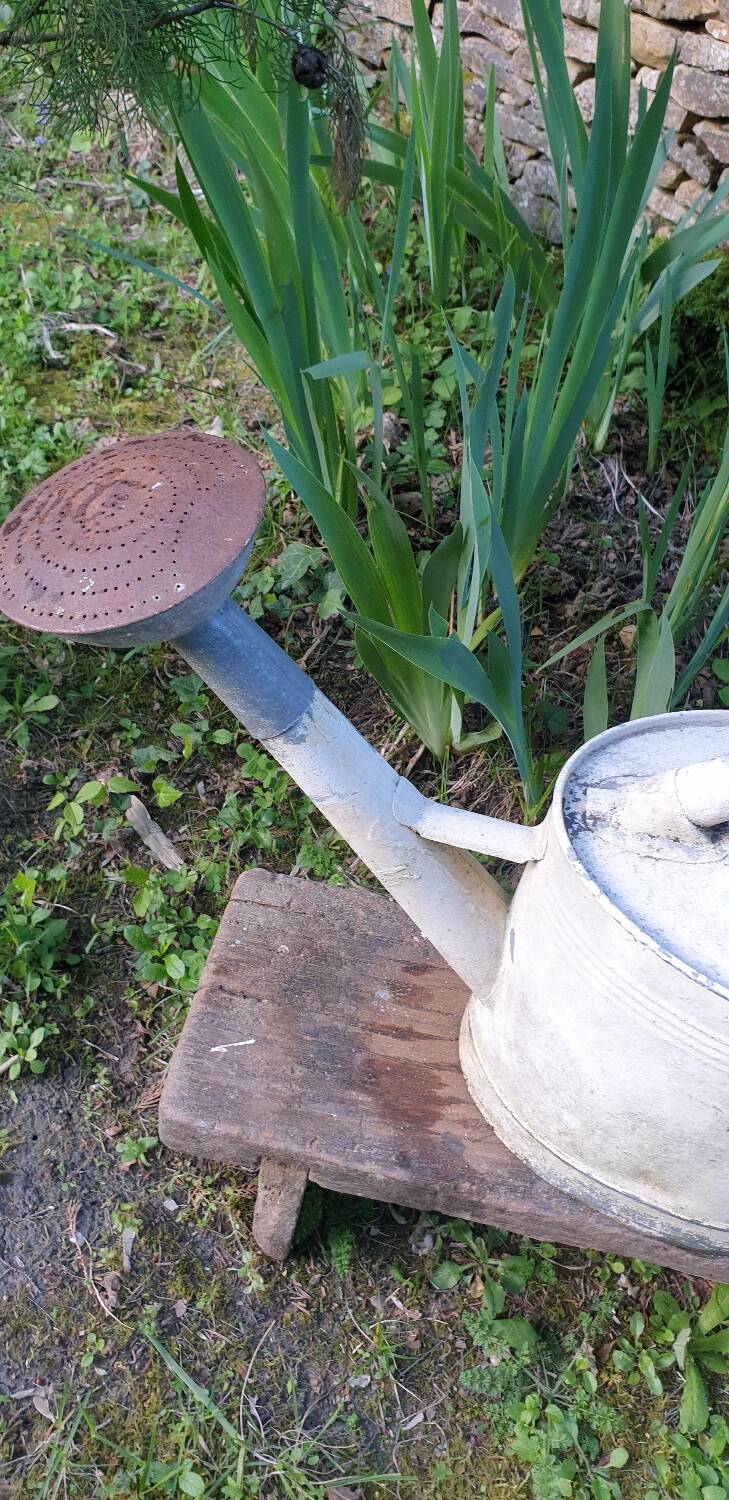 White zinc watering can