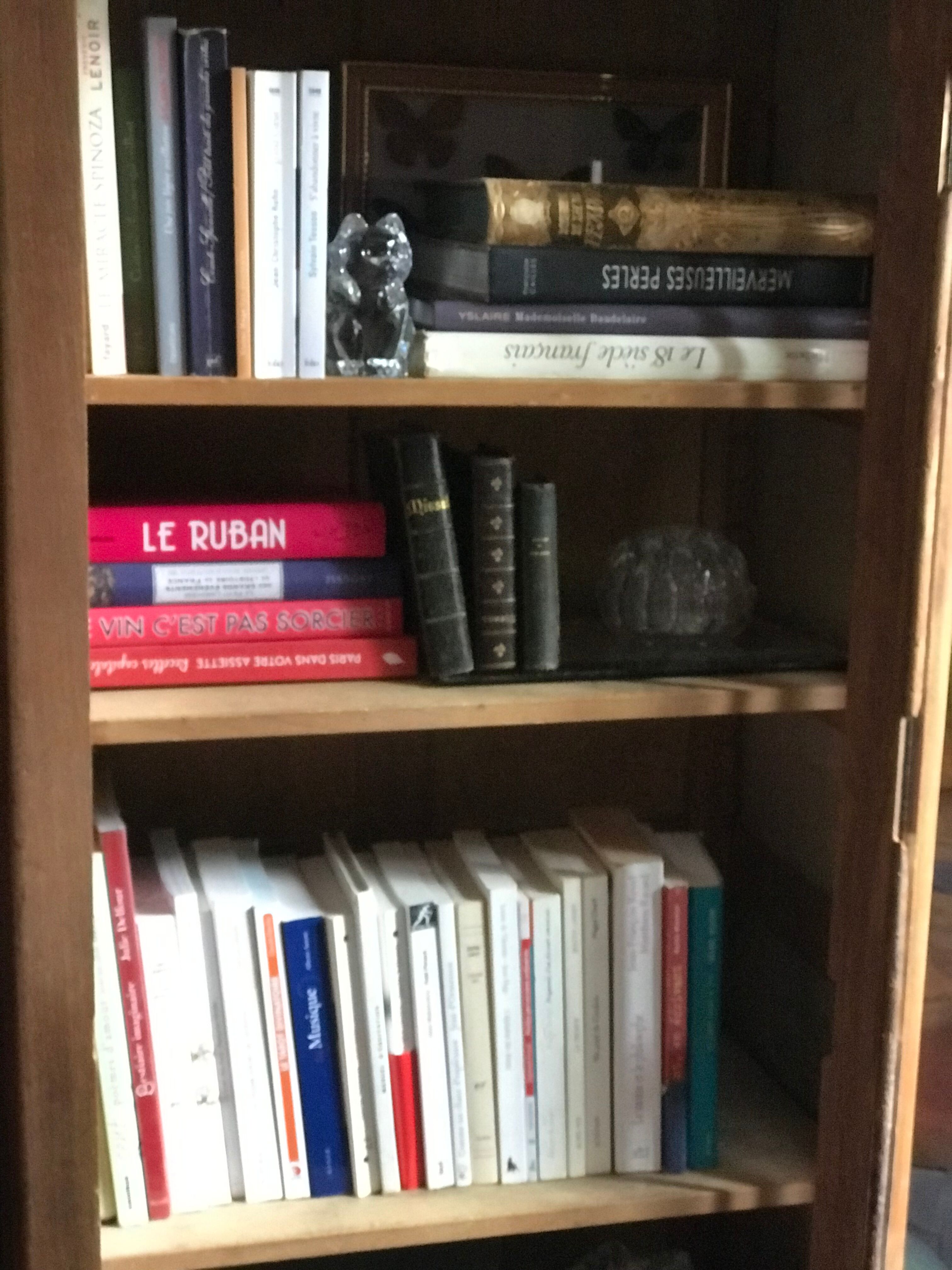 Parisian glazed wardrobe