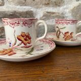 2 cups Sarreguemines U&C in fine earthenware decorations yellow and blue flowers