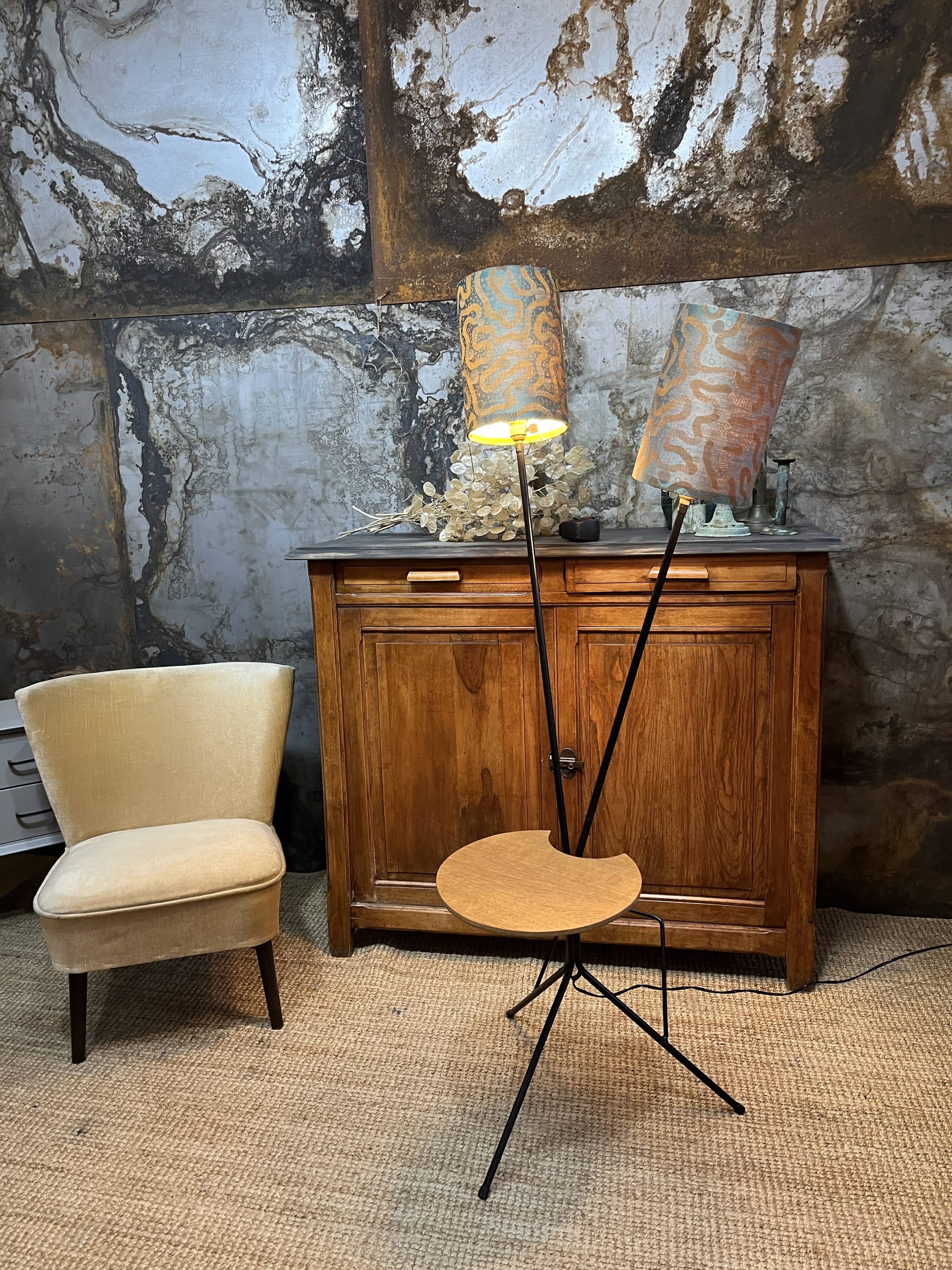 Double foot lamp compass and harness