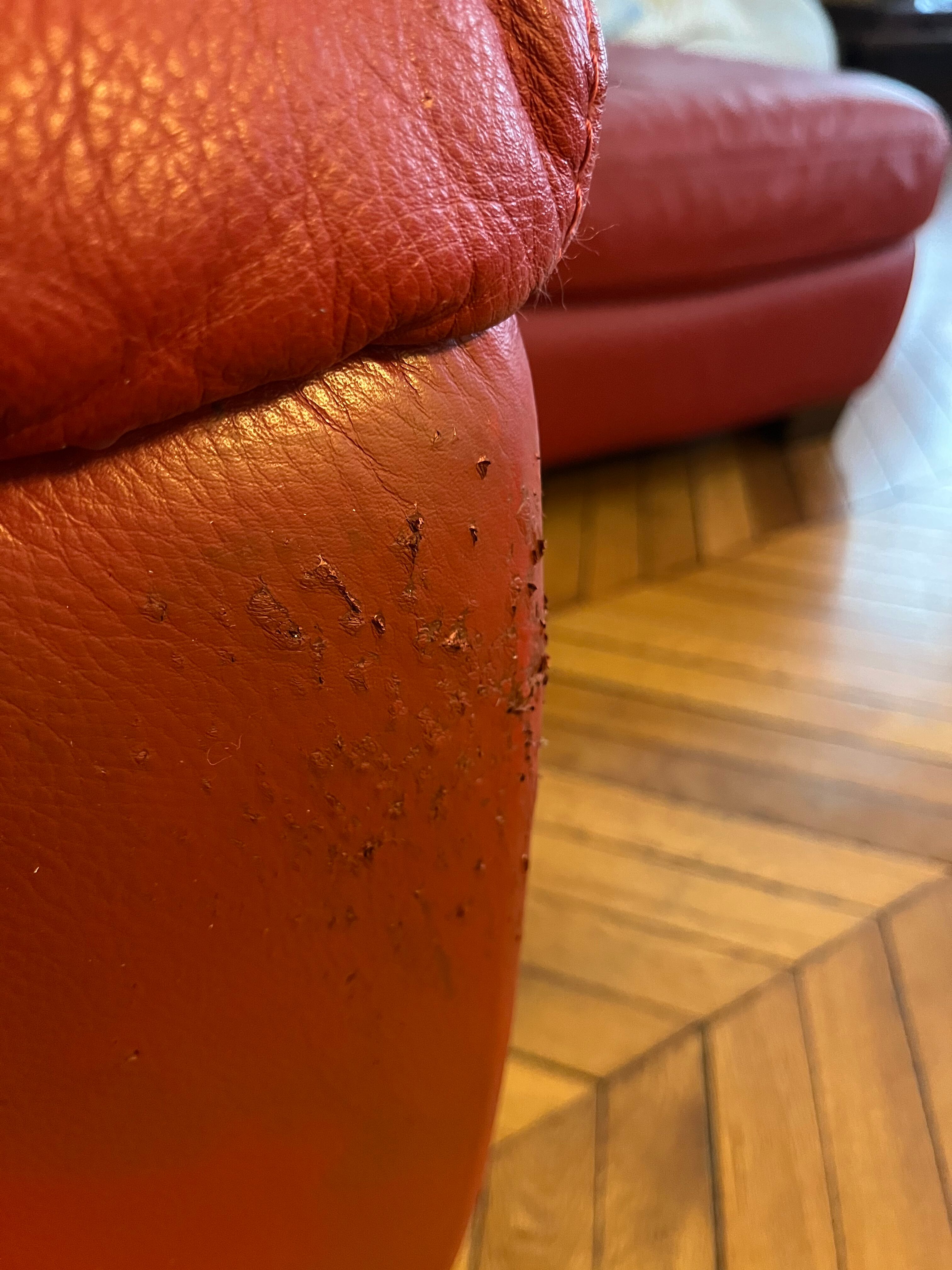 Set convertible leather sofa and footrest Natuzzi