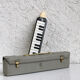 Musical instrument Melodica