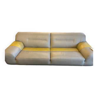 Roche Bobois sofa