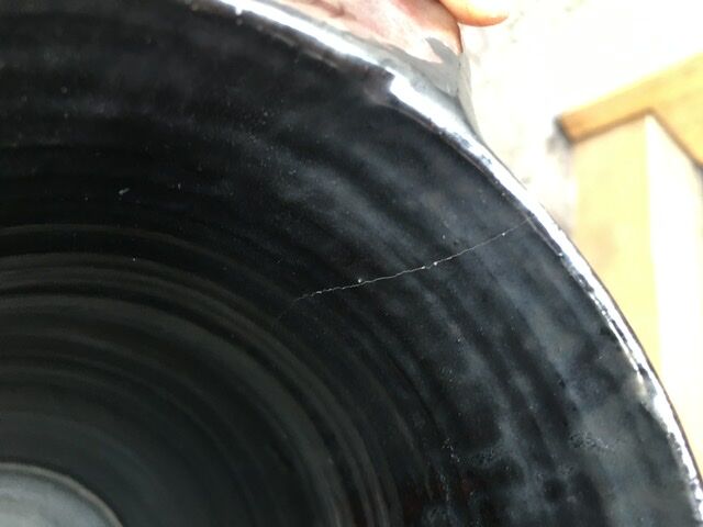 Rare black pitcher Picaut