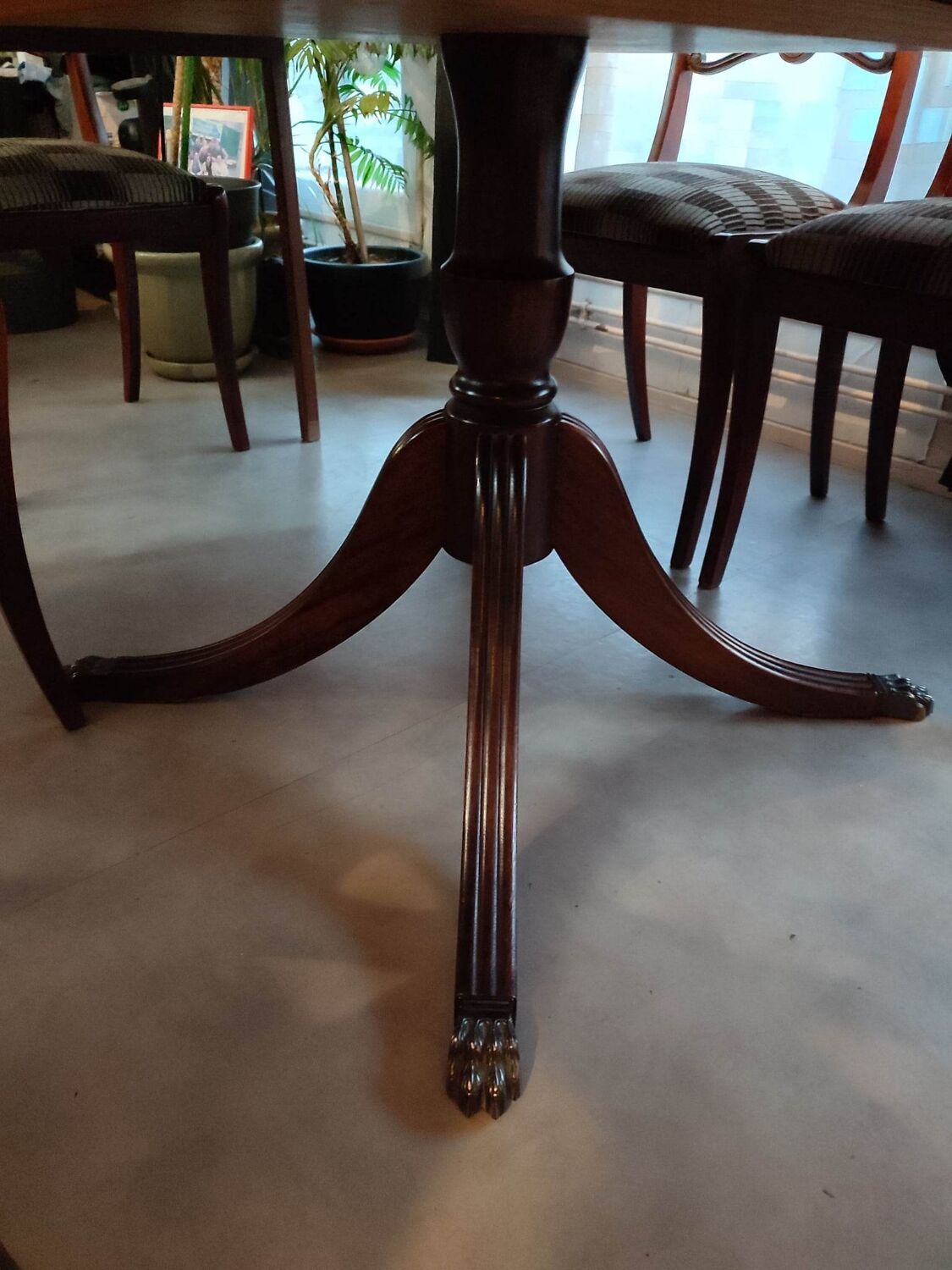 Table + extensions and chairs Gerbeau mahogany vintage wood