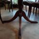 Table + extensions and chairs Gerbeau mahogany vintage wood