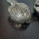 Silver-plated salt and pepper shakers