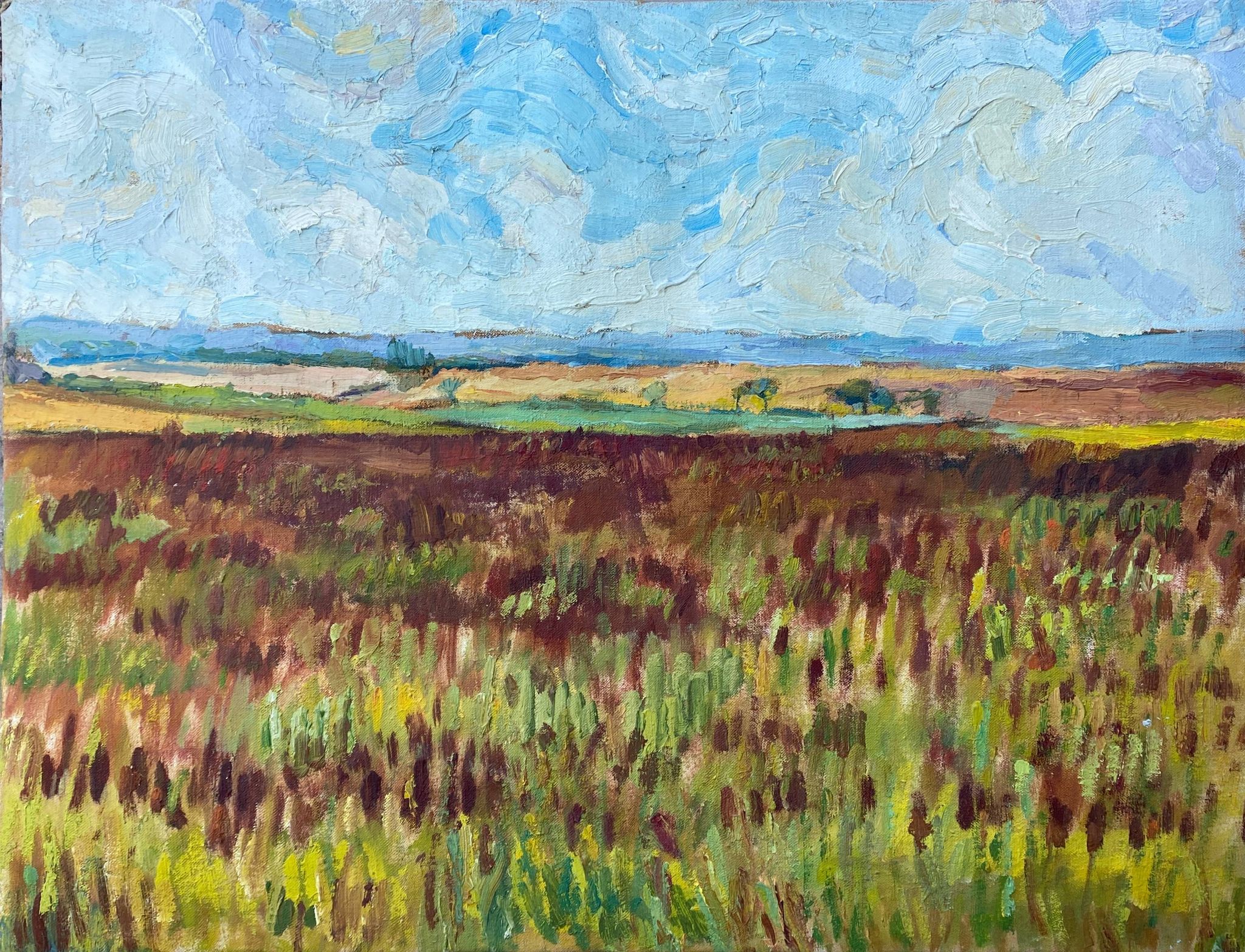 HST painting "Countryside landscape" Fields and valley in summer