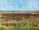 HST painting "Countryside landscape" Fields and valley in summer