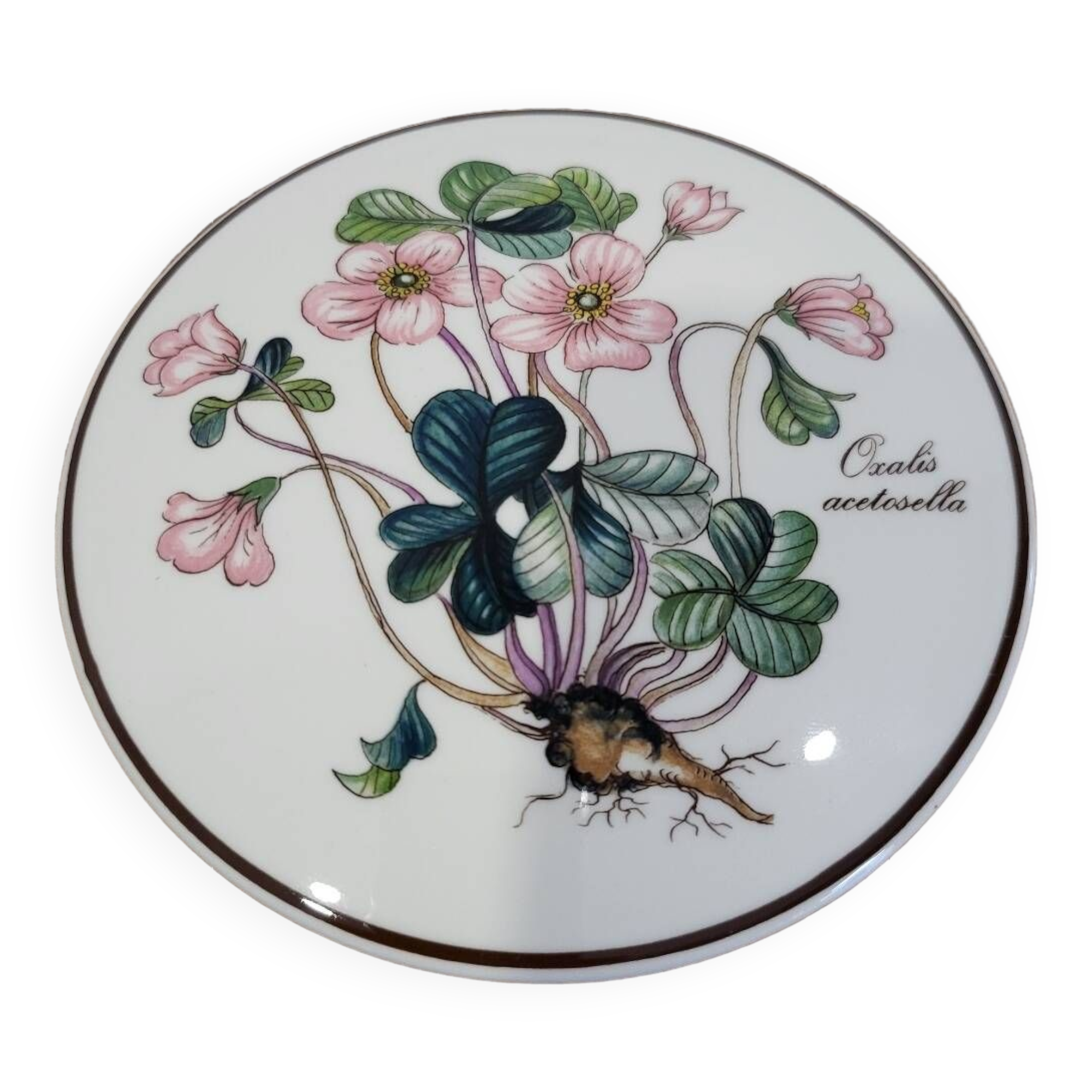 Botanica Villeroy and Boch Box
