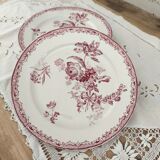 Lot de 5 assiettes plates début 20e Sarreguemines Modèle Fontanges