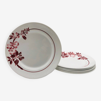 6 Pexonne flat plates, Opaque Porcelain Manufacture FF model Avril.