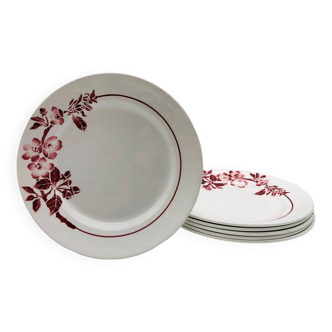 6 Pexonne flat plates, Opaque Porcelain Manufacture FF model Avril.