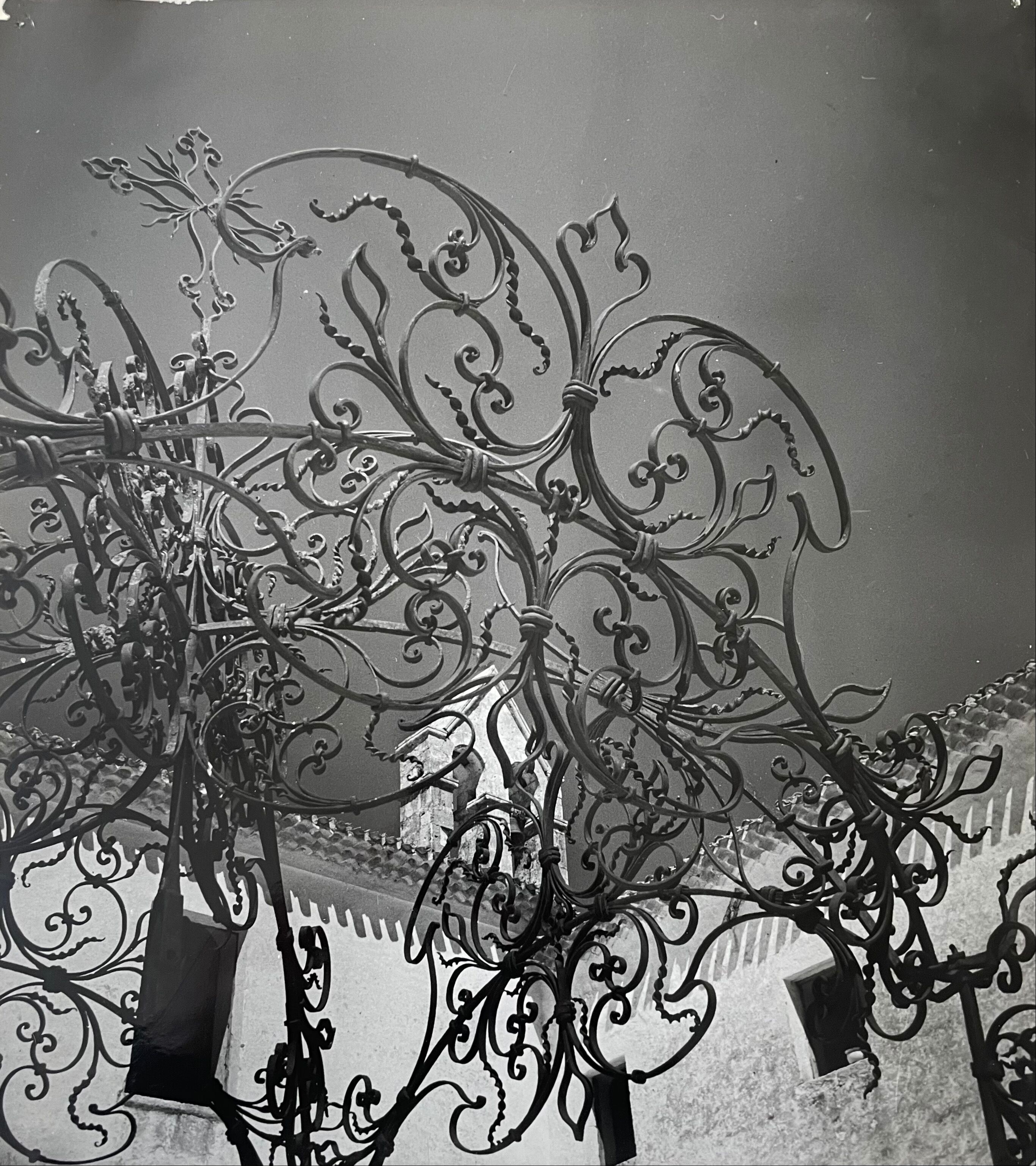 Black and white silver photography early twentieth century