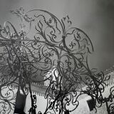 Black and white silver photography early twentieth century