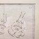 19th Century Gravure Anatomy Nose Mouth Plate Head Morphology Bernard Julien