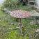 Pedestal table