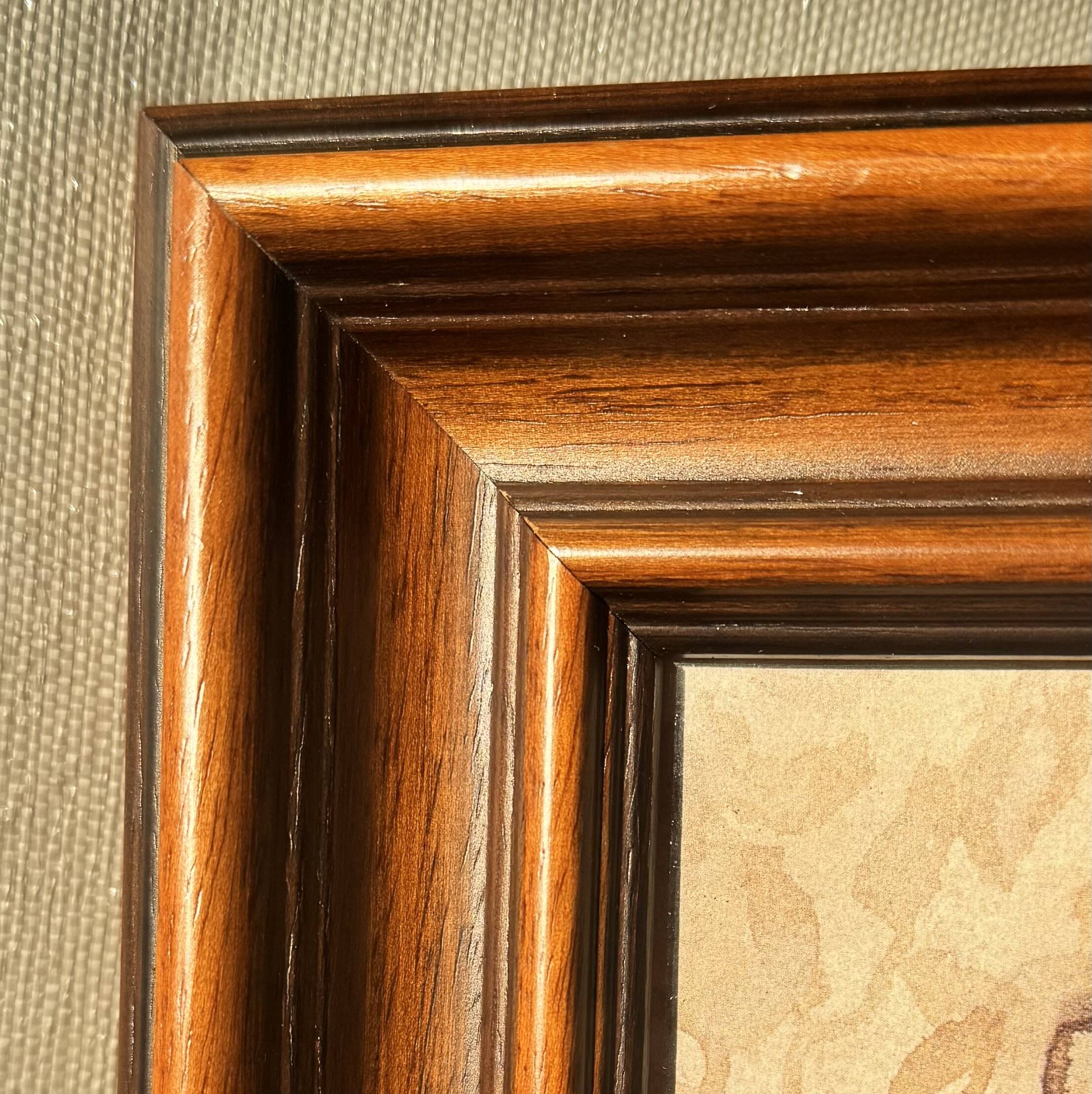 Framed naturalistic illustration of a butterfly, 36 x 36 cm.