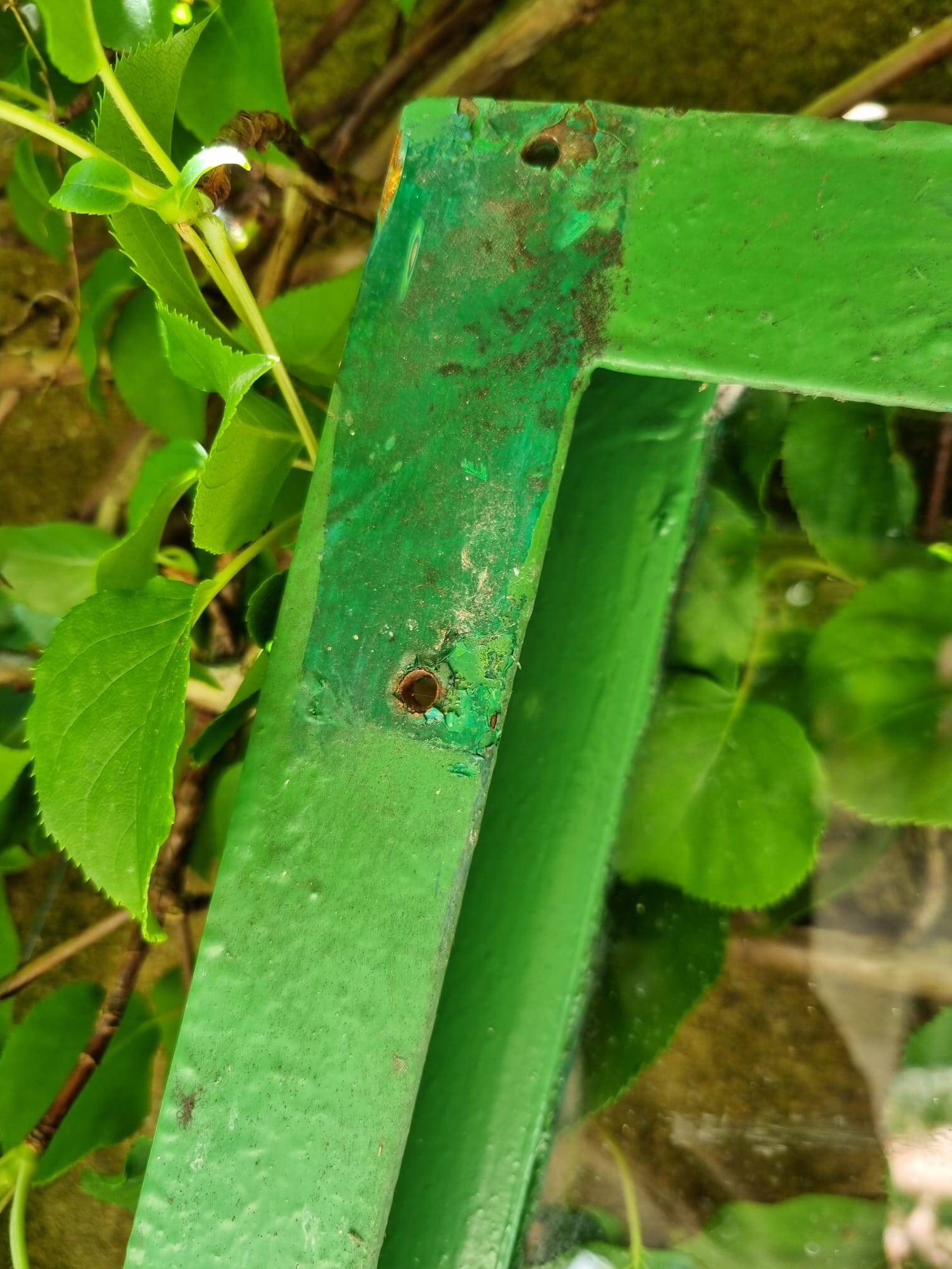 Workshop/industrial style steel door