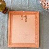 Botanical board - Red apricot