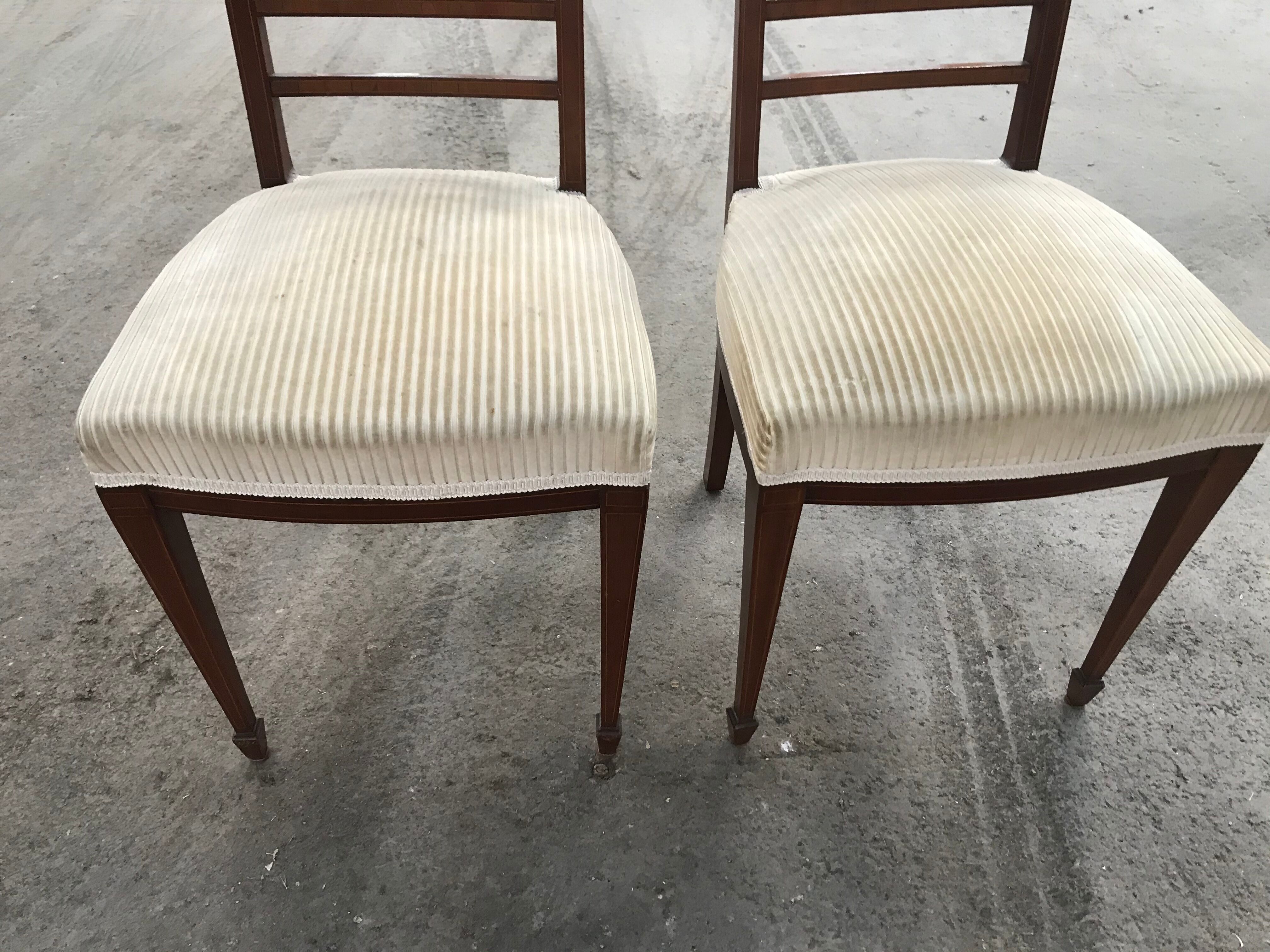 Pair of English chairs in beige velvet
