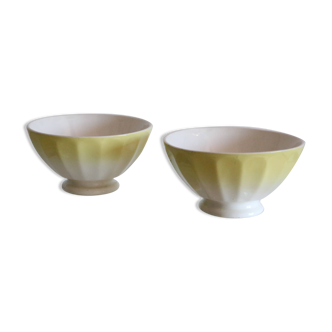 Pair of antique bowls