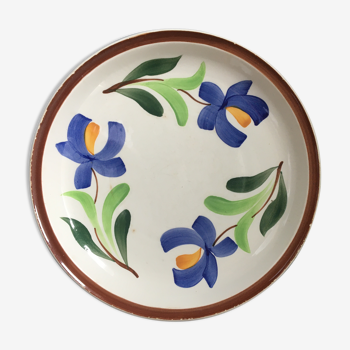 Vintage earthenware plates
