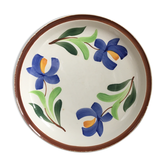 Vintage earthenware plates