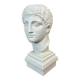 Buste d'Apollon en Plâtre