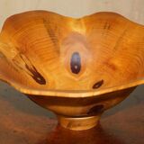 Super wooden ball Monkey Puzzle by Gregory Jervis Moreton