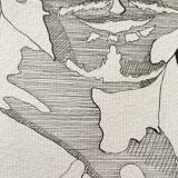 The face