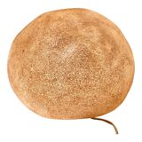 Dora cazenave lamp