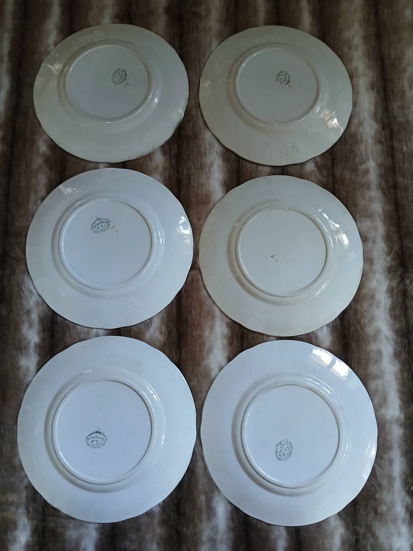 9 assiettes anciennes en Terre de fer "Strasbourg "