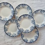 Set of 6 hollow plates Platane St Amand and Hamage