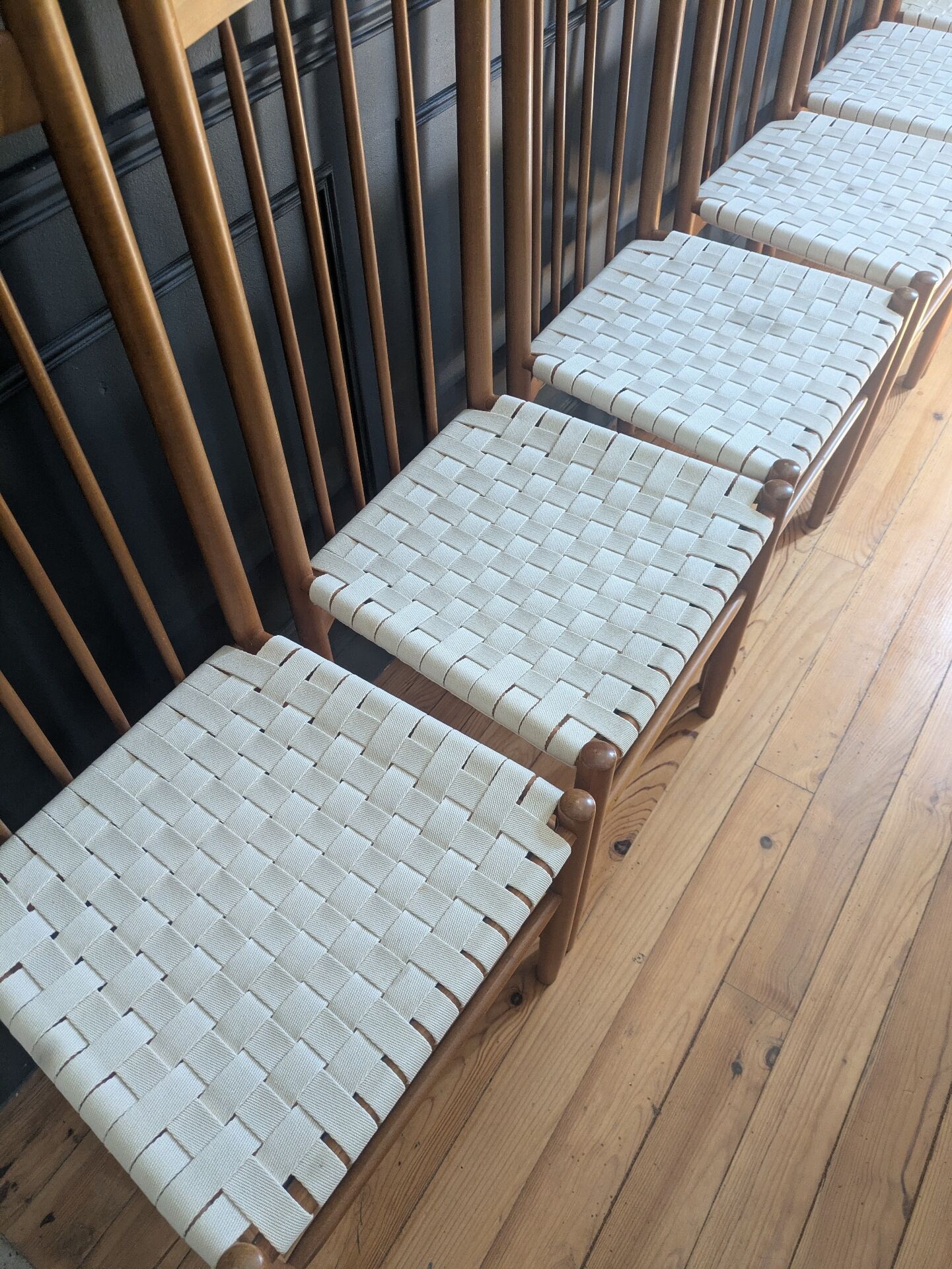Rare ensemble de six chaises modele"Racine" de Roche Bobois.