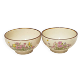Botanical motifs bowls