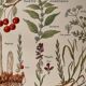 Illustrated page on sudorific plants -1950