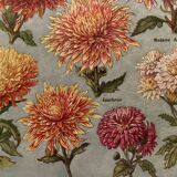 Lithograph on chrysanthemum flowers - 1920